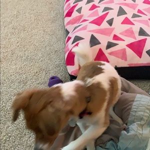 Meet your Posher, Jerrod